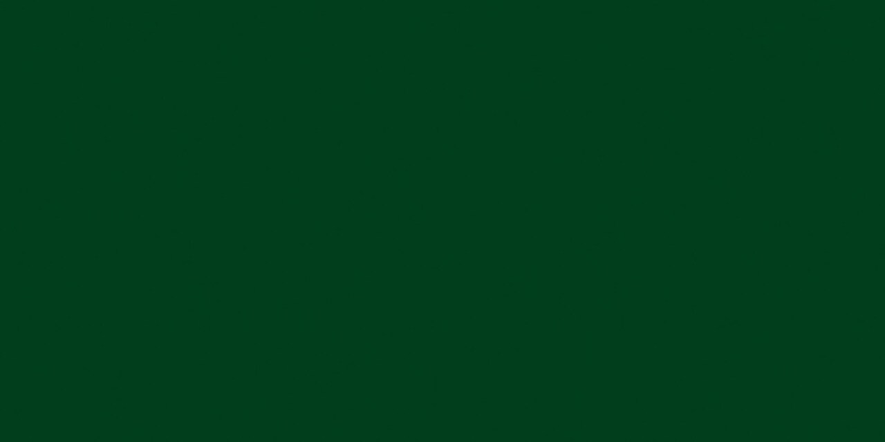 Delta Ceramcoat Acrylic Paint 2Oz-Dark Foliage Green - Opaque